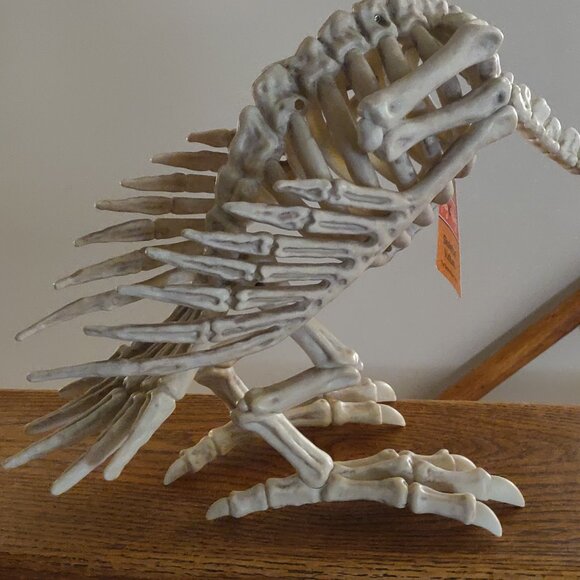 Realistic Rubbery Skeleton Vulture 14" Length x 10" Height - Picture 3 of 5